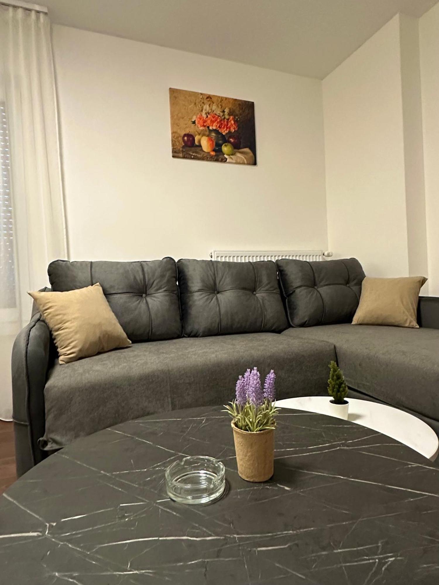 Vila Drina Apartments Banja Koviljača エクステリア 写真